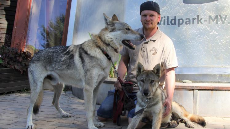 Führt mit seinen Wolfshunden durch den abendlichen Güstrower Wildpark: Wildpark-Scout Thomas Frost 