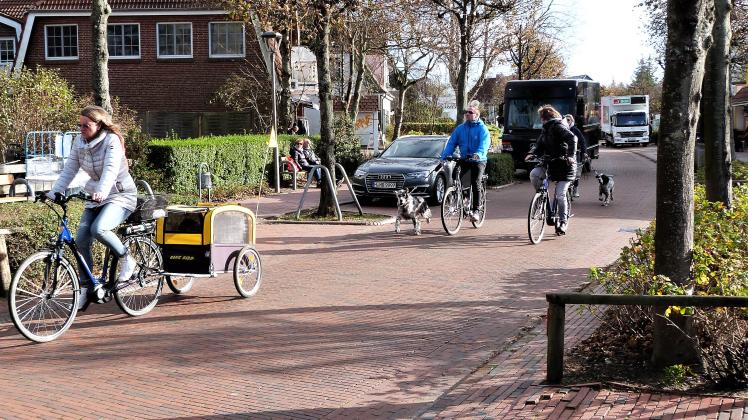 Ein Beispiel für Fehlverhalten im Straßenverkehr: Hunde werden vom Fahrrad aus an der Leine geführt und dann wird noch nebeneinander gefahren. 