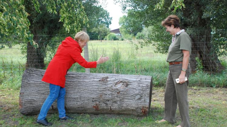 Aus dem Baumstamm könnte nach den Vorstellungen von Helga Scherfke (l.) und Elvira Scherfke eine Sitzbank entstehen. 