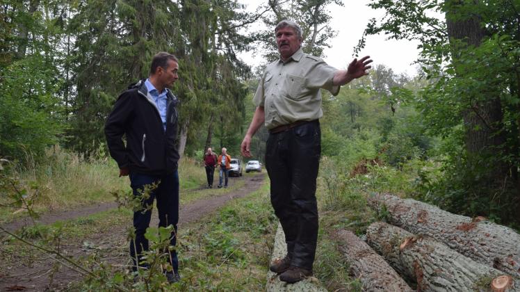 Zwei Männer im Wald: Landrat Torsten Uhe (l.) lässt sich von dem Forstexperten Holger Galonska die Situation im Gadower Forst erläutern.