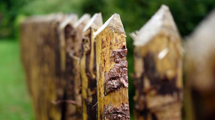 Wo Pilze wachsen und Insekten hausen - Holz im Freien schützen
