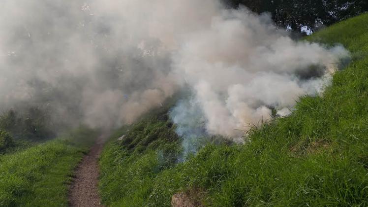 Flächenbrand am Busdorfer Teich SHZ
