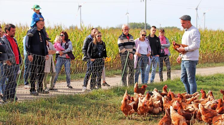 So sehen glückliche Hühner aus. Von Lukas Propp erfahren die Gäste alles zur Bewirtschaftung des Hofes. 