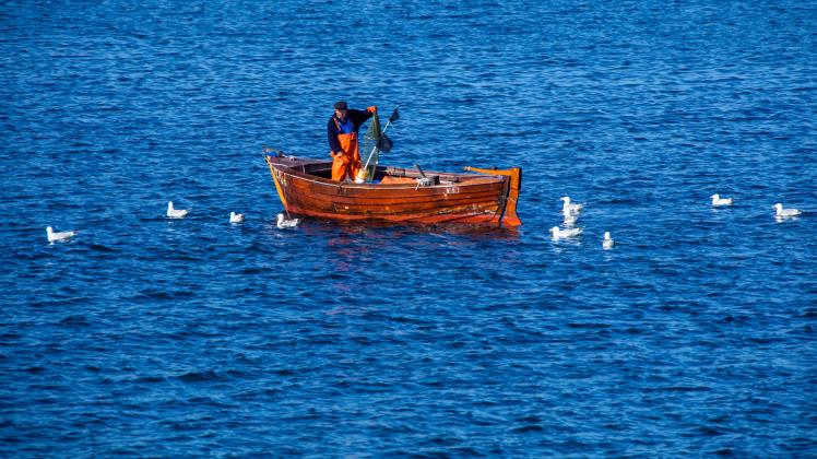 Ein Fischer leert auf der Ostsee zwischen den Inseln Rügen und Hiddensee in einem kleinen Holzboot seine Fangreusen. 