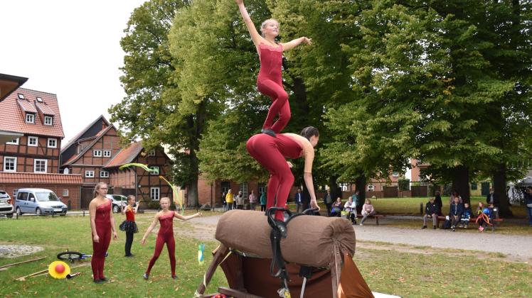 Mädchen des Voltigiervereins Wedendorf begeisterten mit einer anspruchsvollen Darbietung. Die Sportlerinnen trainieren bis zu vier Mal pro Woche – oft auch auf Pferden.