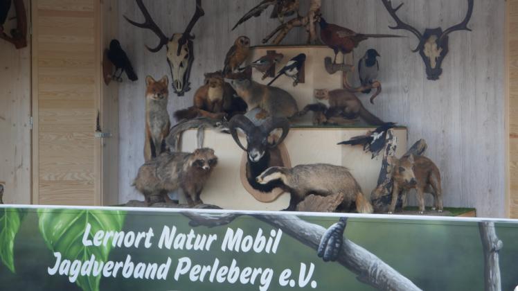 Gut ausgestattet wartet der „Lernort-Natur“-Anhänger nun auf seine Einsätze. Gut ausgestattet wartet der „Lernort-Natur“-Anhänger nun auf seine Einsätze.