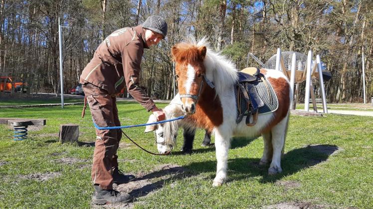 Auch einen Schnupperkurs für Ponyfreunde hat der Wildpark in den Herbstferien im Angebot. 