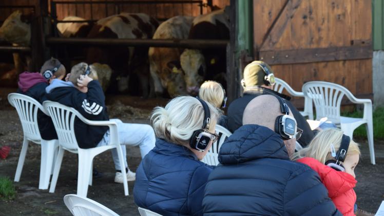 Während die Besucher den Gottesdienst über Kopfhörer verfolgten, lauschten Kühe und Rinder durch die weit geöffneten Stalltüren.
