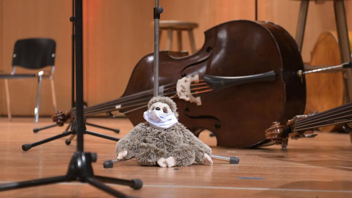 Ausgefallene MusikerGagen Hamburg stellt 500.000 Euro bereit SHZ