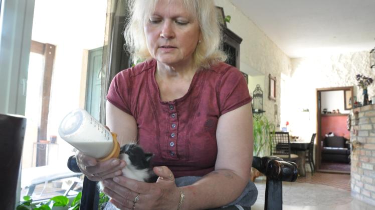 Mit Geduld kümmert sich Doris Schiemann von der Tierpension „Kleine Oase“ auch um kleine Fund-Katzen. 