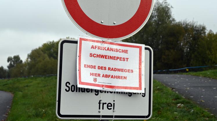 Ein Schild am Oderdeich weist das Gebiet als Kernzone der Afrikanischen Schweinepest an der polnischen Grenze aus.