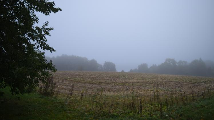 Künftiges Baugebiet in Trams bei Jesendorf – der See im Hintergrund war Montagmorgen in Nebel gehüllt.