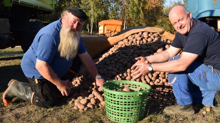 Mit frischen Kartoffeln können Walter und Frank Piehl in diesem Jahr wieder beim Hoffest aufwarten. 