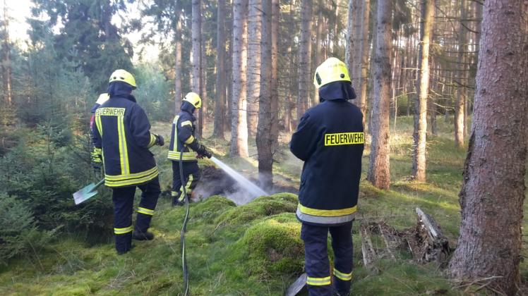 Brüeler Feuerwehrleute löschen den Brand im Kiefernhochwald zwischen Weiße Krug und Klein Görnow. 