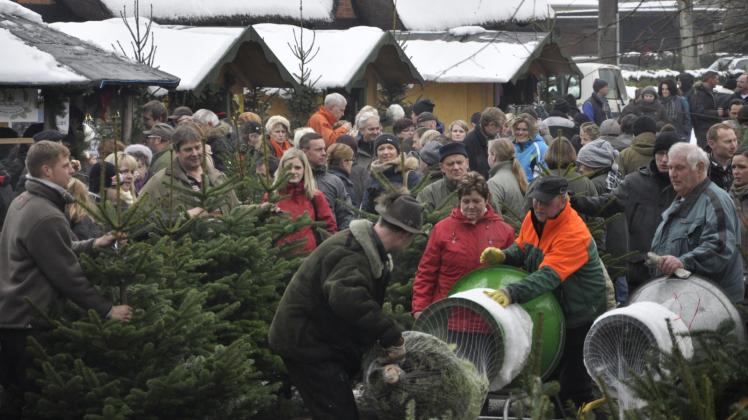 Solch ein Getümmel um die Weihnachtsbäume  wird es dieses Jahr vor Weihnachten in Schildfeld nicht geben.  