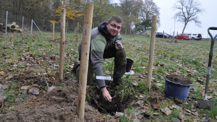 Die Streuobstwiese in Witzin ist komplett. Clemens Guth setzt einen Walnussbaum in die Erde. 