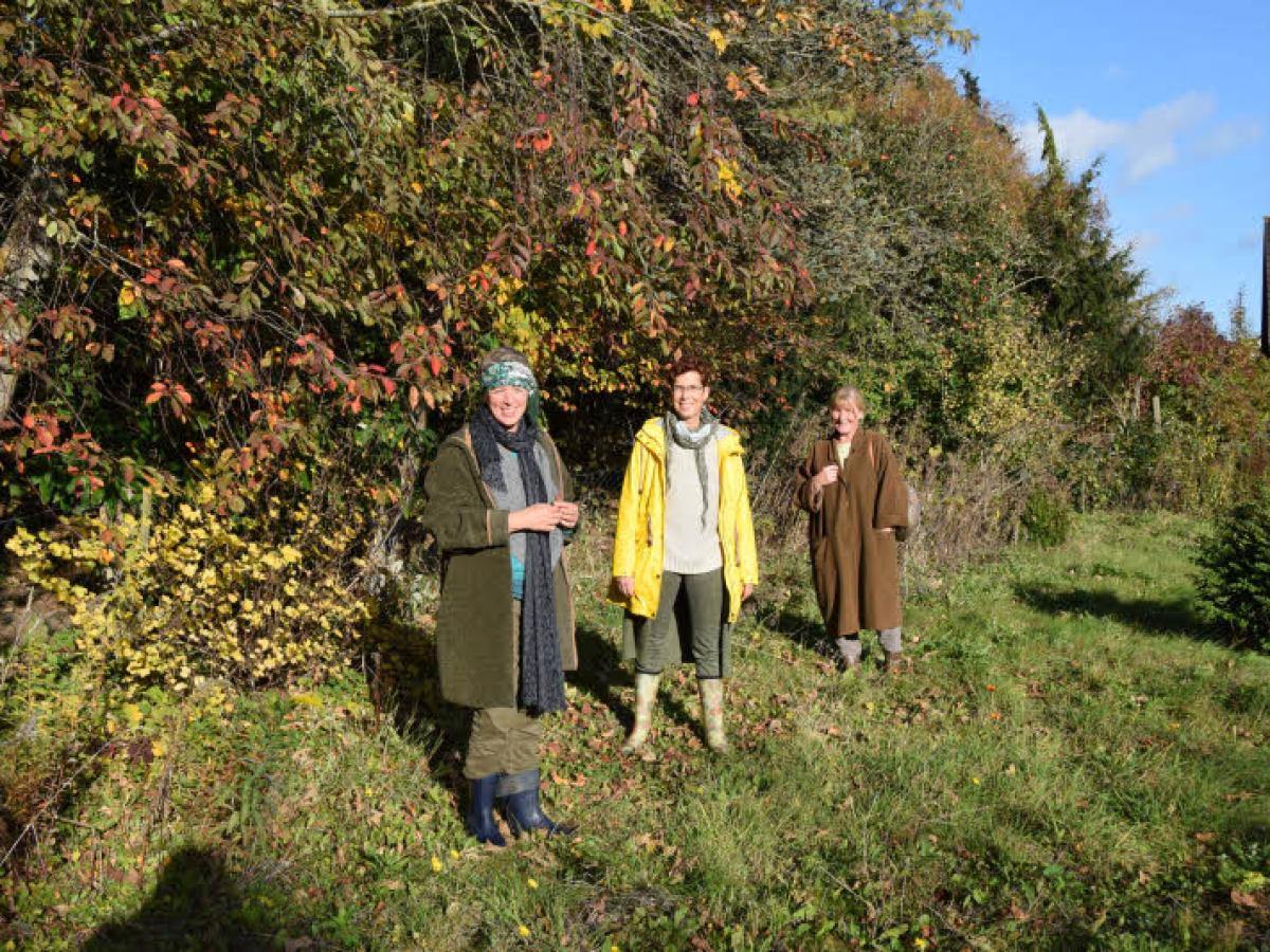 Gummifische in Schleswig-Holstein - Steinburg, Freunde und Freizeitpartner  finden