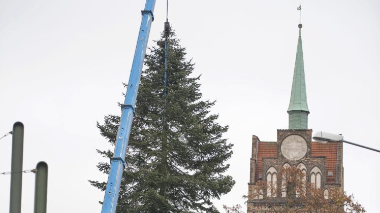 Aufstellen Weihnachtsbaum in der Rostocker Innenstadt Aufstellen Weihnachtsbaum in der Rostocker Innenstadt