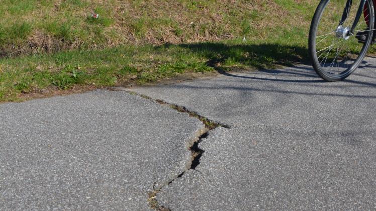 So zeigt sich der Radweg: Wurzeln drücken den Asphalt nach oben. 