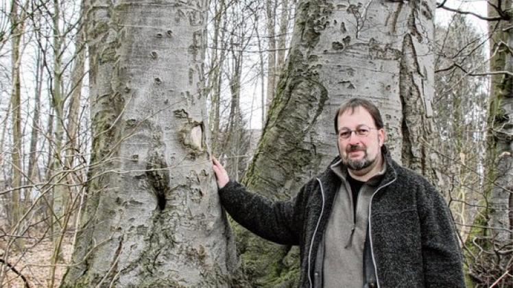 Nabu stemmt sich gegen Abholzung