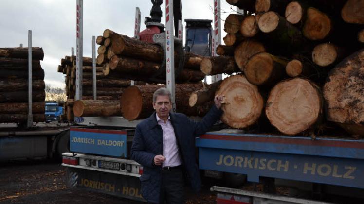 Auf dem Firmengelände von Bernd Jorkisch wird neben gesundem Holz auch Schadholz gelagert und verarbeitet.