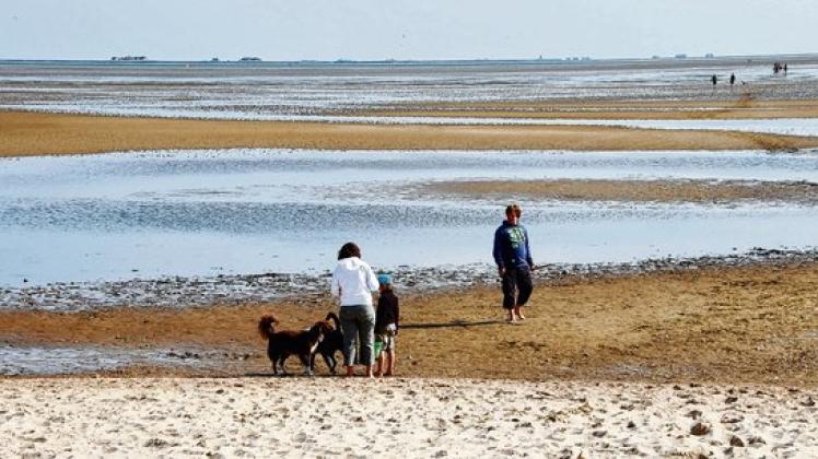 Hundestrand, Abenteuerstrand,  Drachenstrand:   Die Wyker Küste  soll  in noch mehr Themenbereiche unterteilt werden.  Foto: pk