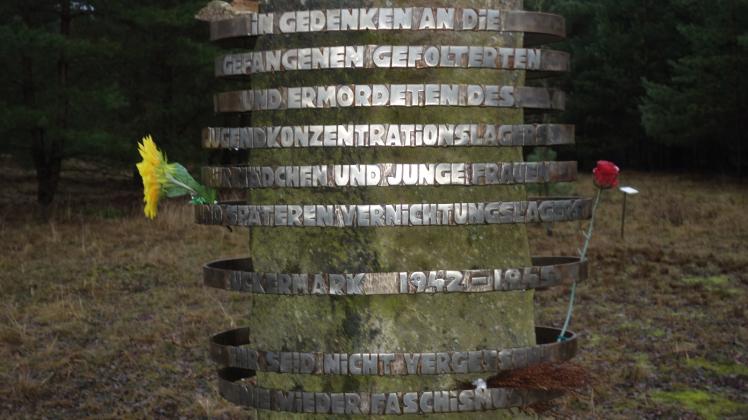 Ein Gedenkort für die vergessenen KZ-Häftlinge unter Fichten und Kiefern. 