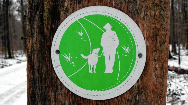 Auch wenn es prinzipiell erlaubt ist, sich im ganzen Wald zu bewegen, sollten Besucher auf den Wegen bleiben. Eine Anleinpflicht für Hunde gilt in Schleswig-Holstein hingegen immer.