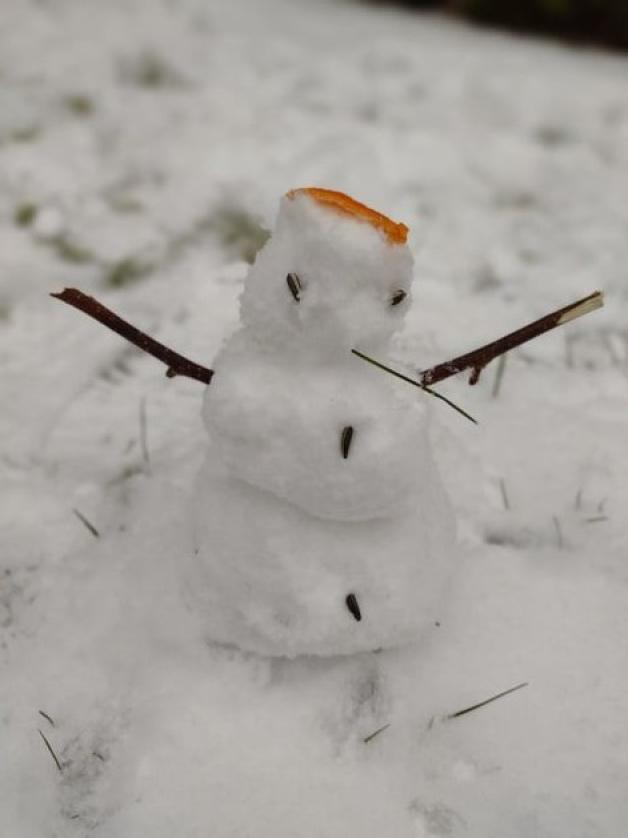 Es muss gar nicht immer viel Schnee fallen, um schöne Schneemänner - oder wie Dirk Schermer es auf seinem Foto beweist - Schneefrauen zu bauen. Ein ganz modisches Exemplar mit Mandarinenschalen-Hut, dem die frostige Dame auch ihren Namen zu verdanken hat: Manda von Rine. Das nennen wir mal kreative Kälte. 
