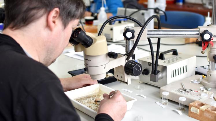 Das Labor für Meeresbiologie im Materialhof bietet Arbeit für Menschen mit seelischen Beeinträchtigungen.