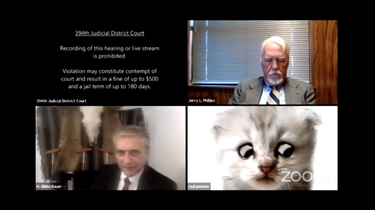 Virales Video: Ein Rechtsanwalt kämpfte während einer gerichtlichen Anhörung in den USA via Zoom mit einem Katzenfilter.