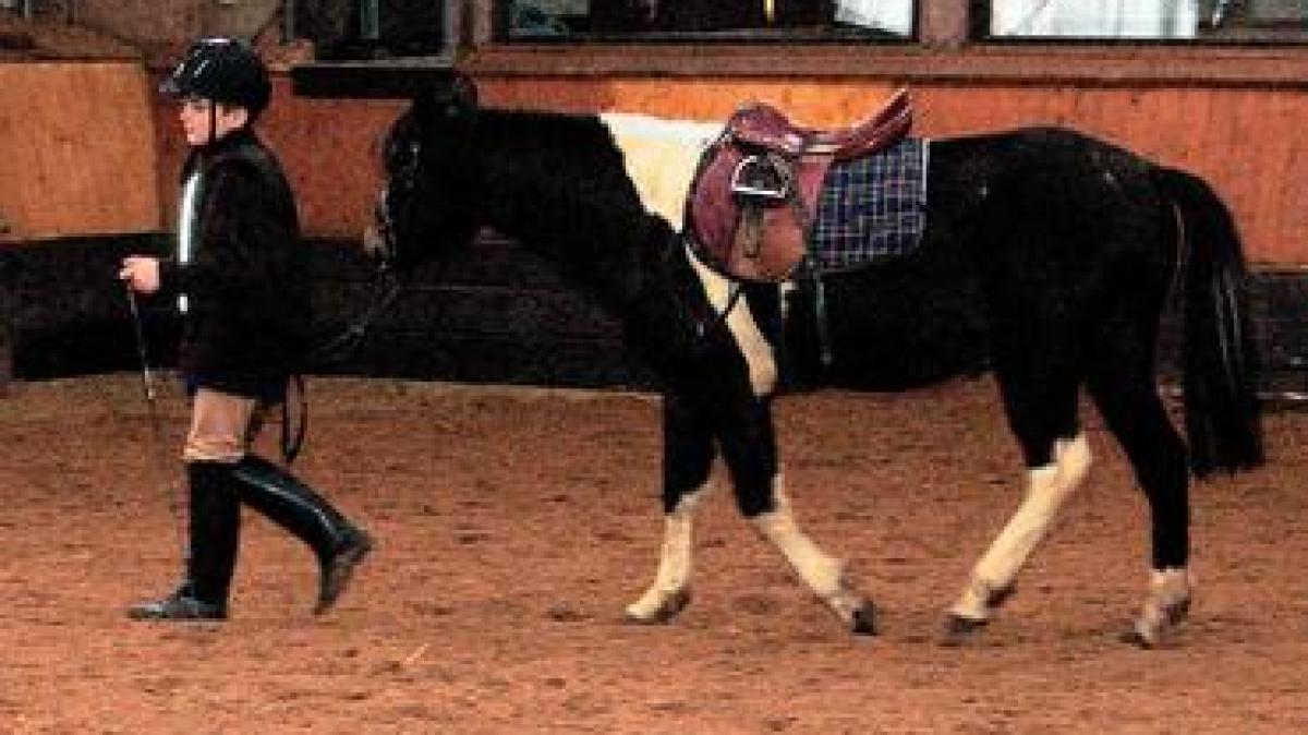 Reiten ist mehr als nur ein Mädchensport SHZ