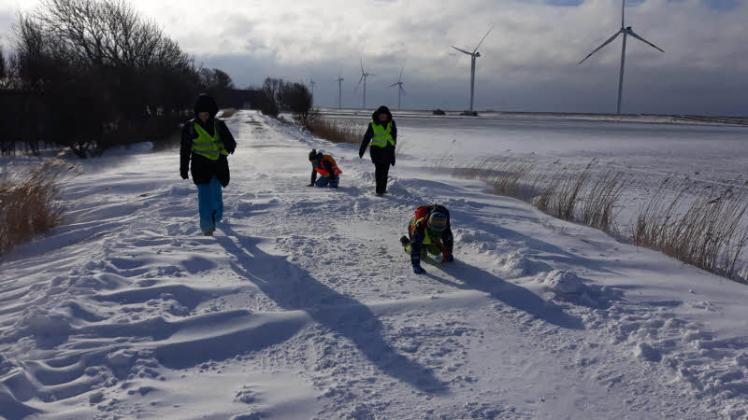 Spaziergang eines Haushalts während der Kohltour: Kinder spielen im verwehten Schnee auf dem Bombüller Weg. 