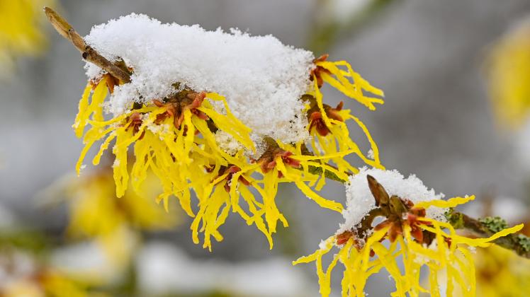Winterwetter in Brandenburg