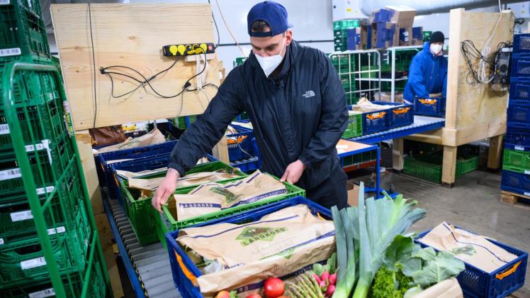 Dominik Böse verpackt mit Obst, Gemüse und Kräutern gefüllte Kisten des Bio-Lieferservice ·Landkorb· für den Versand. 