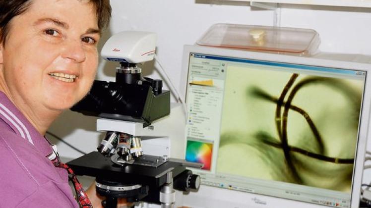 Kann gefährlich werden: Jeanette Göbel zeigt am Mikroskop eine vergrößerte Blaualge.  Foto: Müller 