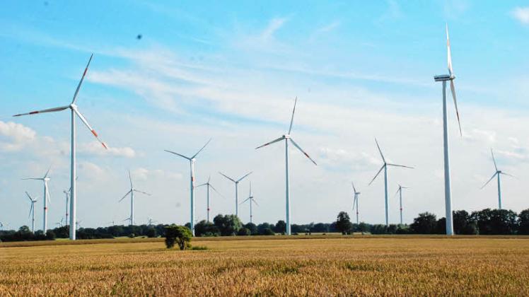 Die Koalitionspartner in Brandenburg streiten über den Ausbau der Windkraft im Land. 