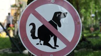 Von App bis Online-Beschwerdeportal: Die Städte in Deutschland setzen auf elektronische Hilfen im Kampf gegen Hundehaufen. Foto: Tobias Hase 