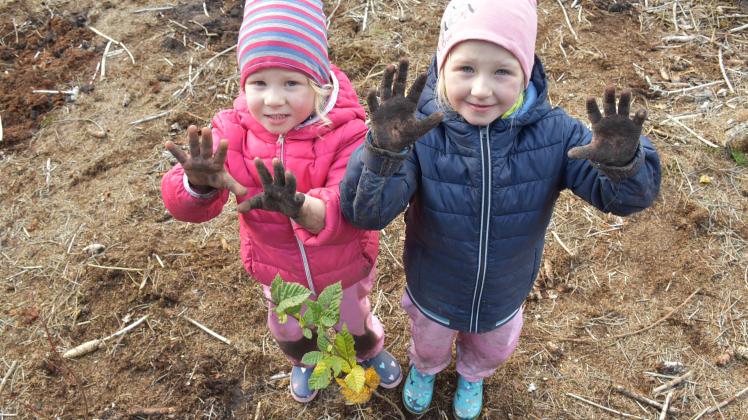 Bürger pflanzen Bäume in der Rostocker Heide Jasmin (6, r.) und Maja (4) waren mit vollem Einsatz dabei.