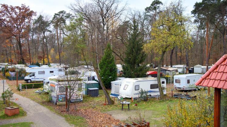 Wohnwagen, Wohnmobile und Zelte stehen auf dem Königlichen Campingpark Sanssouci zwischen den Bäumen. Der Platz am Templiner See wurde mit dem höchsten Prädikat von fünf Sternen bewertet. 