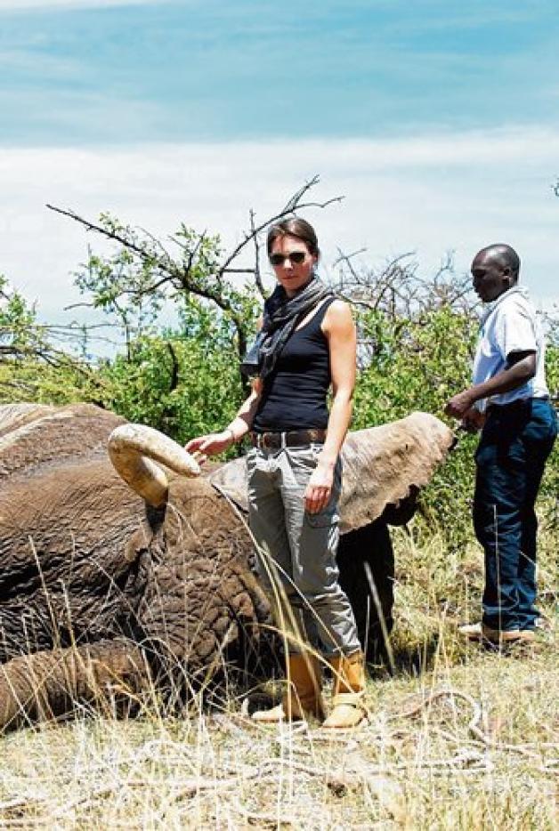 Opfer von Wilderern: Ein verwundeter Elefant wurde betäubt, wird behandelt und flößt Nicole Tepperies Ehrfurcht ein. Foto: Fotos: romdane/sh:z