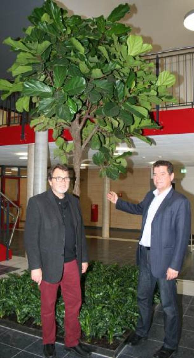 Schulleiter Andreas Kelber (links) und Fachbereichsleiter Ralf  Gercken bewundern die Geigenfeige (Ficus lyrata) im  Eingangsbereich der Aula.