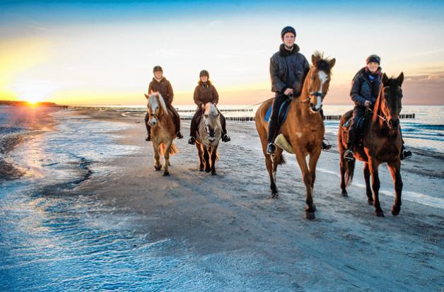 Mit dem Pferd legal am schönen Ostseestrand reiten - das wollen Carolin Schumacher auf Adriano (rechts vorne), Gudrun Barthel auf Sheila, Katja Schoof auf Jakari und Tino Leipold auf Einstein (hinten von links).Georg Scharnweber Mit dem Pferd legal am schönen Ostseestrand reiten - das wollen Carolin Schumacher auf Adriano (rechts vorne), Gudrun Barthel auf Sheila, Katja Schoof auf Jakari und Tino Leipold auf Einstein (hinten von links).Georg Scharnweber