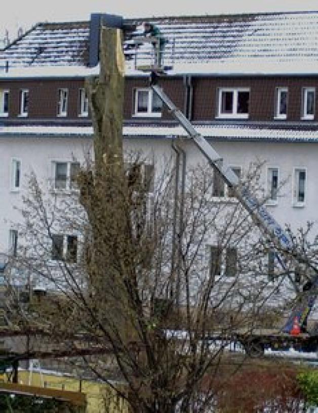 Das Abtragen der 73 Jahre alten Pappel ist von vielen Nachbarn verfolgt worden. Das Abtragen der 73 Jahre alten Pappel ist von vielen Nachbarn verfolgt worden.