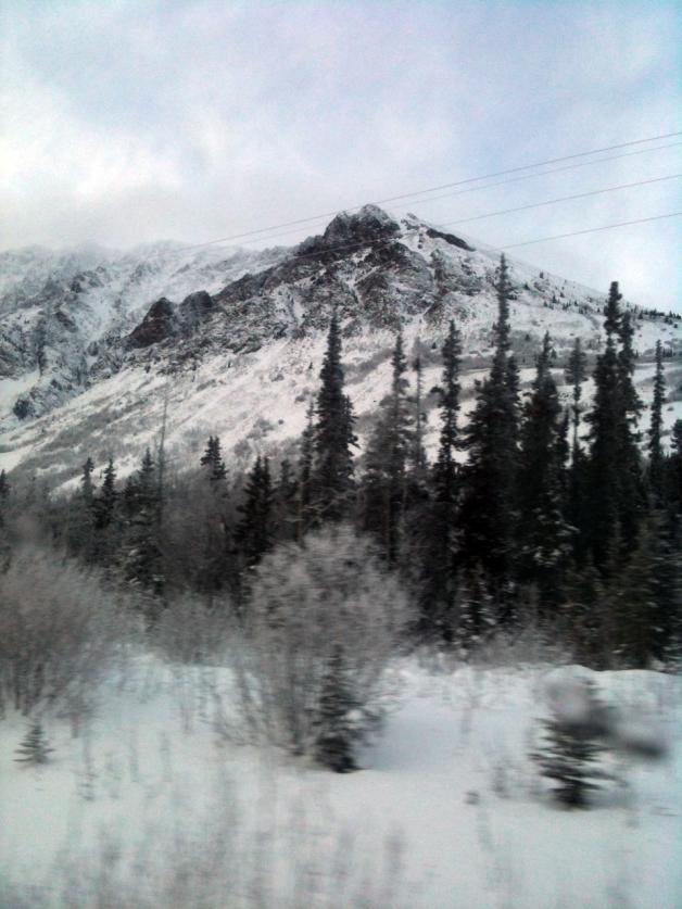 Ein Wintermärchen: Der kanadische Yukon besticht mit rauher Wildnis und  hunderten Kilometern  unberührter Natur.