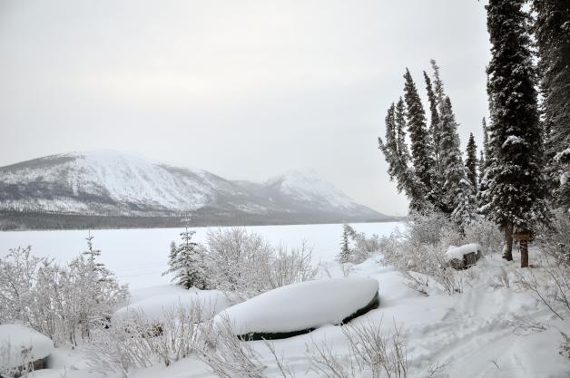 Ein Wintermärchen: Der kanadische Yukon besticht mit rauher Wildnis und  hunderten Kilometern  unberührter Natur.Haendschke