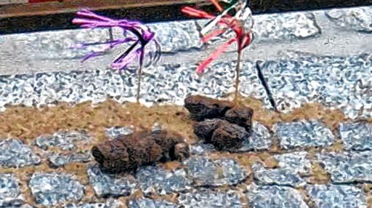 Stinkendes Ärgernis, vor dem eine Leserin mit Eisbecherdeko warnt.