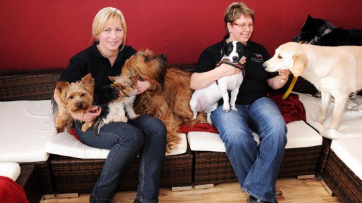 Kuscheln inbegriffen: Franziska Kern (l.) und Carola Mertens haben aus einem Ladenlokal eine Hunde-Kita gemacht. Klawitter