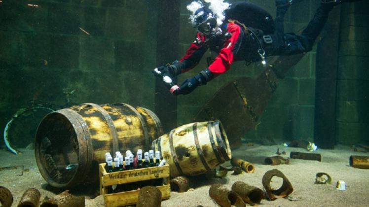 Unterwasserwein: Henning May stellt im Ozeaneum Stralsund  symbolisch Weinflaschen auf den Grund.dpa