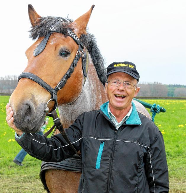 In Wettkampfstimmung sind Joachim Tode und sein Wallach Vulcano aus Stralsund kurz vor dem Holzziehen. In Wettkampfstimmung sind Joachim Tode und sein Wallach Vulcano aus Stralsund kurz vor dem Holzziehen.